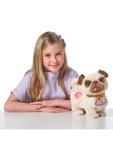 Jucarie Interactiva de Plus Catelusul...