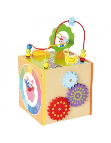 Jucarie de Dexteritate - Cutiuta Motrica