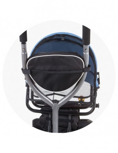 Tricicleta gemeni Chipolino 2Play mist