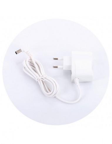 Leagan electric Chipolino Felicity lion